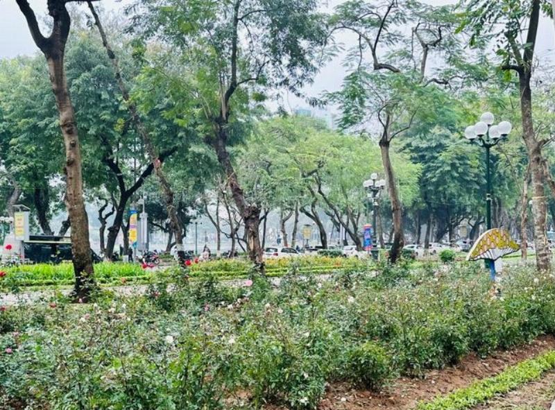 Hình ảnh công viên hoặc không gian xanh trong khu đô thị ở Hoàng Mai Hà Nội với nhiều cây xanh, ghế đá và người dân đi dạo, thể hiện tầm quan trọng của cây xanh trong việc cải thiện thời tiết đô thị